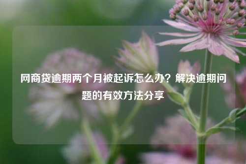 网商贷逾期两个月被起诉怎么办？解决逾期问题的有效方法分享