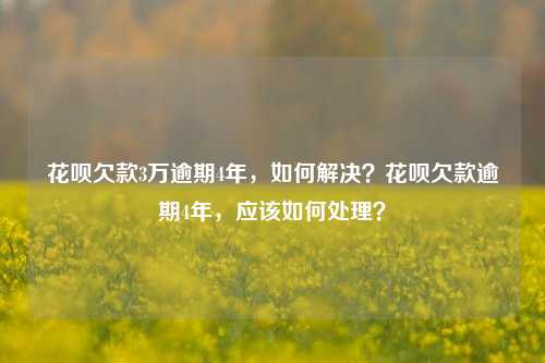 花呗欠款3万逾期4年，如何解决？花呗欠款逾期4年，应该如何处理？