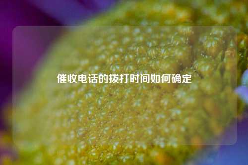 催收电话的拨打时间如何确定