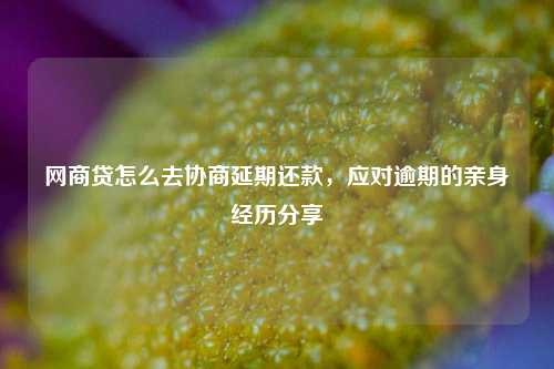 网商贷怎么去协商延期还款，应对逾期的亲身经历分享