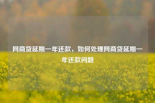 网商贷延期一年还款，如何处理网商贷延期一年还款问题