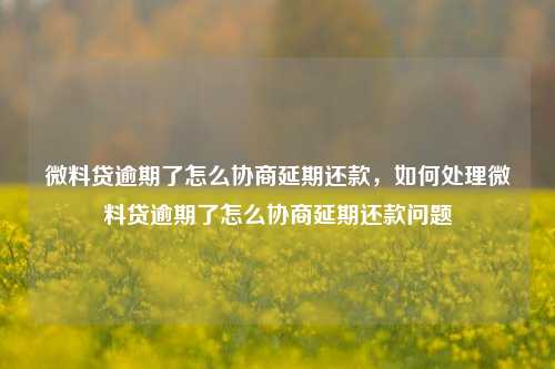 微料贷逾期了怎么协商延期还款，如何处理微料贷逾期了怎么协商延期还款问题