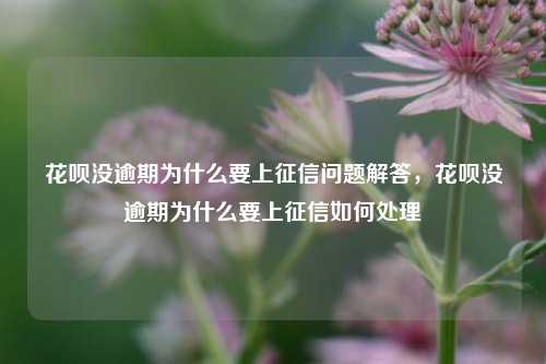 花呗没逾期为什么要上征信问题解答，花呗没逾期为什么要上征信如何处理