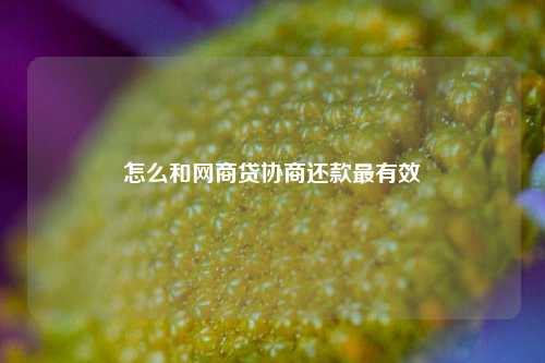 怎么和网商贷协商还款最有效