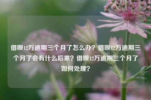 借呗12万逾期三个月了怎么办？借呗12万逾期三个月了会有什么后果？借呗12万逾期三个月了如何处理？