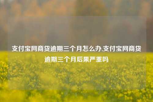 支付宝网商贷逾期三个月怎么办,支付宝网商贷逾期三个月后果严重吗