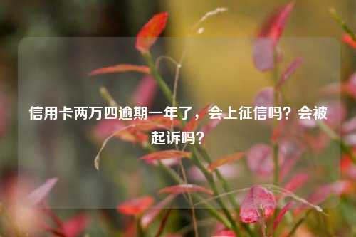 信用卡两万四逾期一年了，会上征信吗？会被起诉吗？