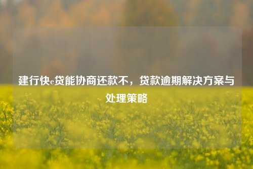 建行快e贷能协商还款不，贷款逾期解决方案与处理策略