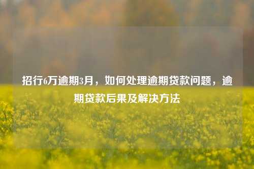 招行6万逾期3月，如何处理逾期贷款问题，逾期贷款后果及解决方法