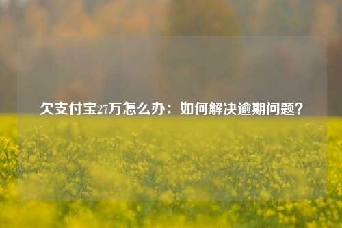 欠支付宝27万怎么办：如何解决逾期问题？