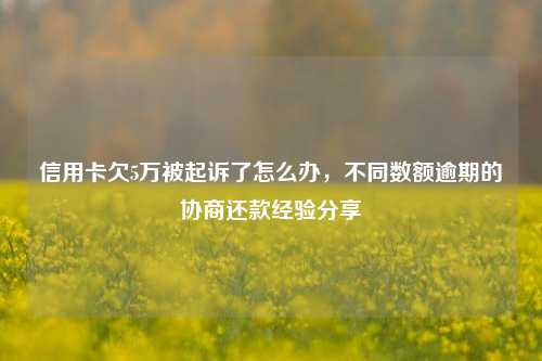 信用卡欠5万被起诉了怎么办，不同数额逾期的协商还款经验分享