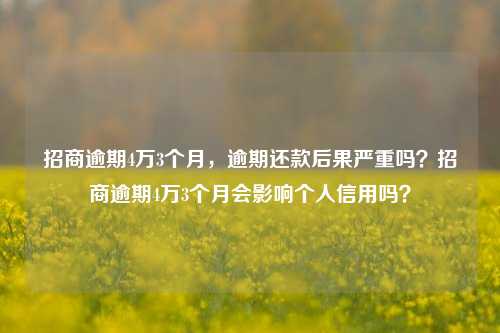 招商逾期4万3个月，逾期还款后果严重吗？招商逾期4万3个月会影响个人信用吗？