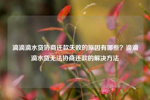 滴滴滴水贷协商还款失败的原因有哪些？滴滴滴水贷无法协商还款的解决方法