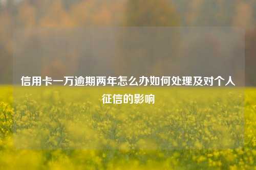 信用卡一万逾期两年怎么办如何处理及对个人征信的影响