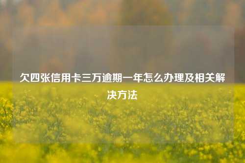 欠四张信用卡三万逾期一年怎么办理及相关解决方法