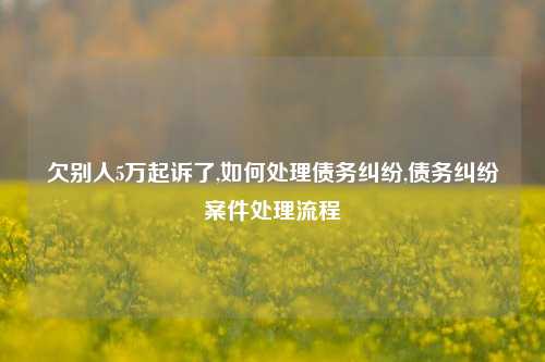 欠别人5万起诉了,如何处理债务纠纷,债务纠纷案件处理流程