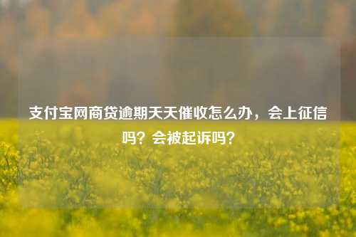 支付宝网商贷逾期天天催收怎么办，会上征信吗？会被起诉吗？