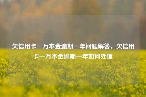 欠信用卡一万本金逾期一年问题解答，欠信用卡一万本金逾期一年如何处理