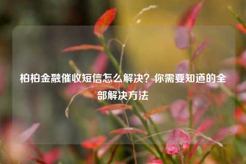 柏柏金融催收短信怎么解决？你需要知道的全部解决方法