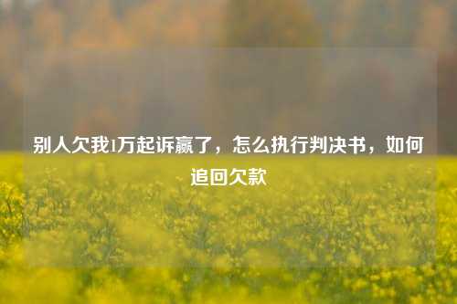 别人欠我1万起诉赢了，怎么执行判决书，如何追回欠款