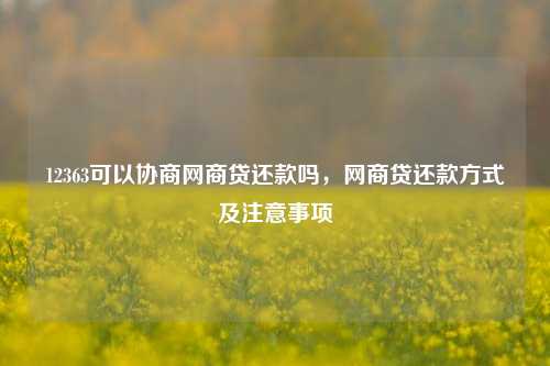 12363可以协商网商贷还款吗，网商贷还款方式及注意事项