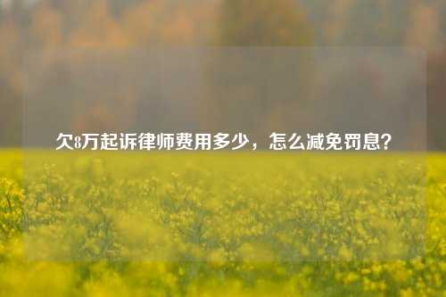 欠8万起诉律师费用多少，怎么减免罚息？