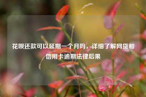 花呗还款可以延期一个月吗，详细了解网贷和信用卡逾期法律后果