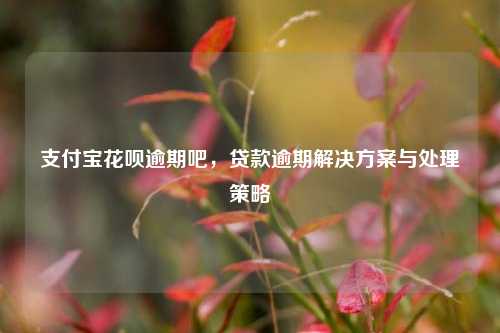 支付宝花呗逾期吧，贷款逾期解决方案与处理策略