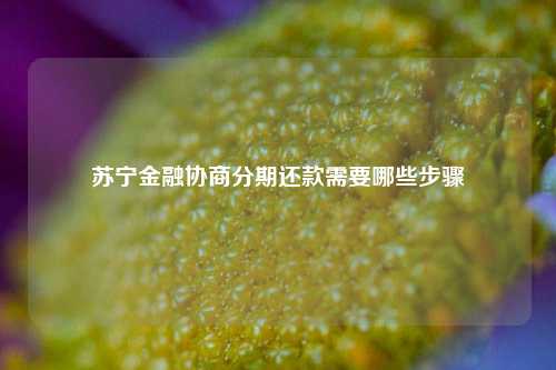 苏宁金融协商分期还款需要哪些步骤