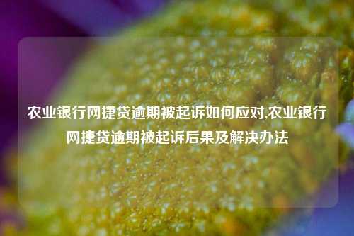 农业银行网捷贷逾期被起诉如何应对,农业银行网捷贷逾期被起诉后果及解决办法