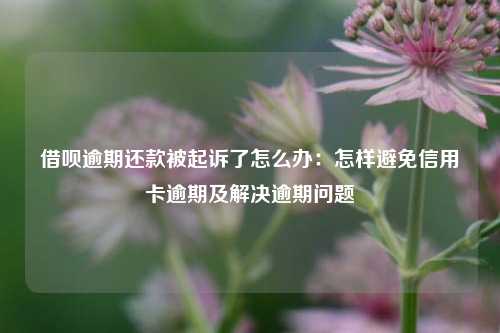 借呗逾期还款被起诉了怎么办：怎样避免信用卡逾期及解决逾期问题