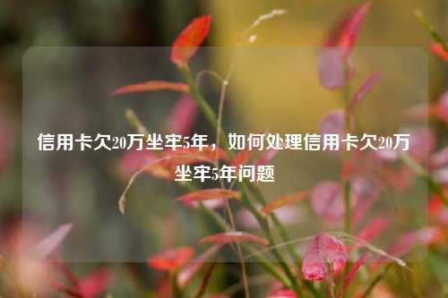 信用卡欠20万坐牢5年，如何处理信用卡欠20万坐牢5年问题