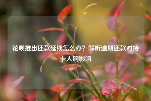 花呗推出还款延期怎么办？解析逾期还款对持卡人的影响