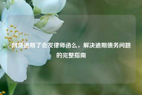 网贷逾期了会发律师函么，解决逾期债务问题的完整指南