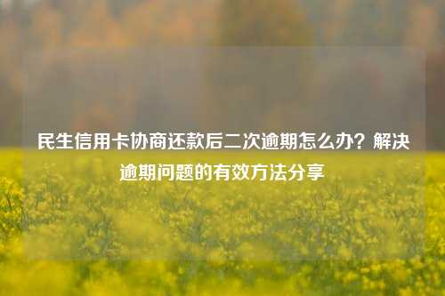 民生信用卡协商还款后二次逾期怎么办？解决逾期问题的有效方法分享