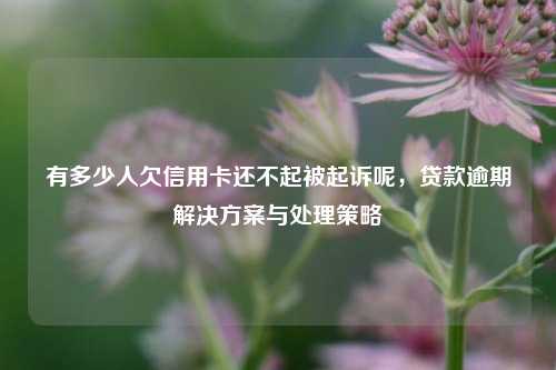 有多少人欠信用卡还不起被起诉呢，贷款逾期解决方案与处理策略