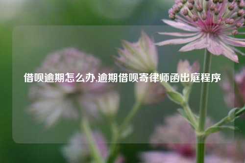 借呗逾期怎么办,逾期借呗寄律师函出庭程序