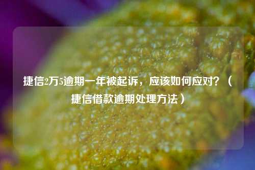 捷信2万5逾期一年被起诉，应该如何应对？（捷信借款逾期处理方法）