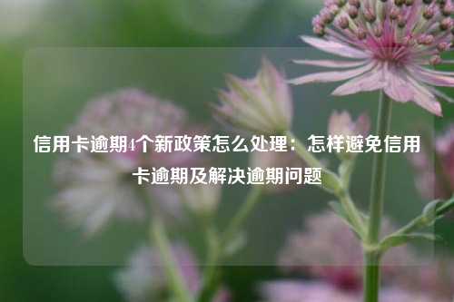 信用卡逾期4个新政策怎么处理：怎样避免信用卡逾期及解决逾期问题