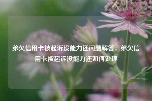 弟欠信用卡被起诉没能力还问题解答，弟欠信用卡被起诉没能力还如何处理