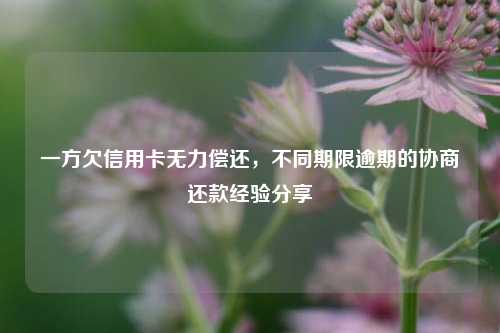 一方欠信用卡无力偿还，不同期限逾期的协商还款经验分享