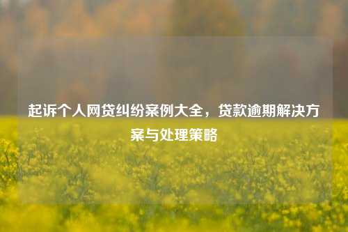 起诉个人网贷纠纷案例大全，贷款逾期解决方案与处理策略