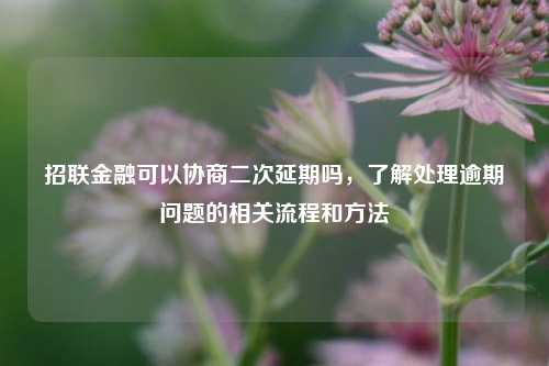 招联金融可以协商二次延期吗，了解处理逾期问题的相关流程和方法