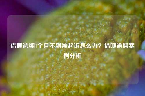 借呗逾期1个月不到被起诉怎么办？借呗逾期案例分析