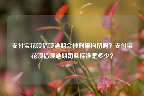 支付宝花呗借呗逾期会被刑事拘留吗？支付宝花呗借呗逾期罚款标准是多少？