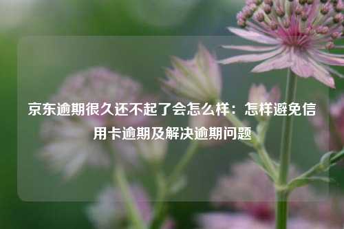 京东逾期很久还不起了会怎么样：怎样避免信用卡逾期及解决逾期问题