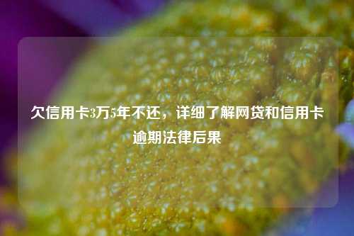 欠信用卡3万5年不还，详细了解网贷和信用卡逾期法律后果