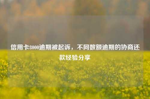 信用卡8000逾期被起诉，不同数额逾期的协商还款经验分享