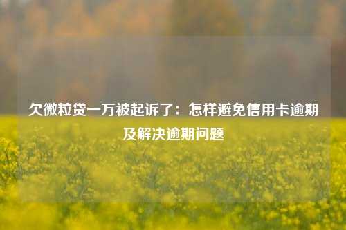 欠微粒贷一万被起诉了：怎样避免信用卡逾期及解决逾期问题