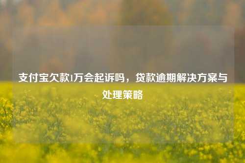 支付宝欠款1万会起诉吗，贷款逾期解决方案与处理策略